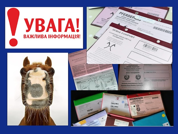 УВАГА ! ОНОВЛЕНА ІНФОРМАЦІЯ ЩОДО реєстрації в ВФКСУ племінного (BREEDING PASSPORT)  або національного паспорту (коня/поні) іншої країни  (затвердженого FEI).