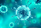 УВАГА!! Важлива інформація! Наказ Мінмолодьспорту "Про запобігання поширенню коронавірусу COVID -19"