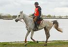 Чемпіонат Світу з Дистанційних Кінних Пробігів для молодих коней  в естонському Падізе 11-14 серпня 2023 року