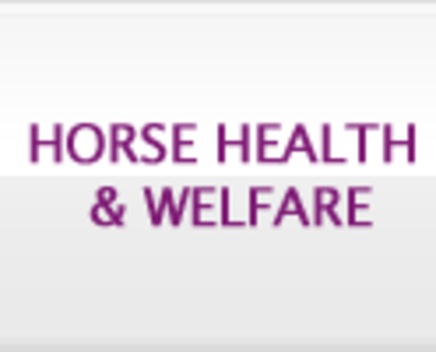 FEI HORSE HEALTH AND WELFARE