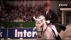 ECCO FEI European Jumping and Dressage Championships 2013 - Preview